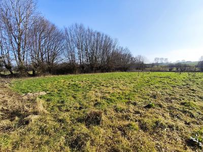 Terrain - 12 000 m²