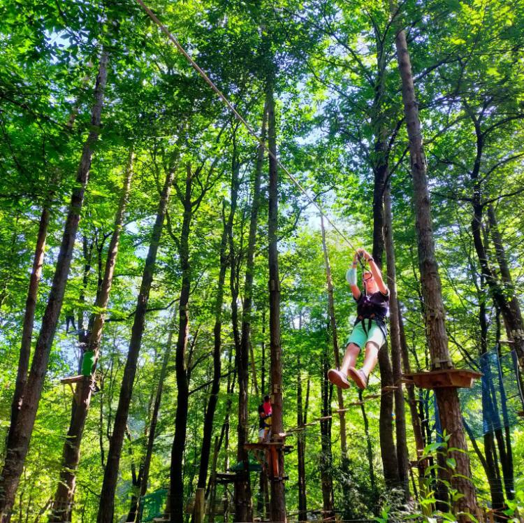 Camping le Petit Bois