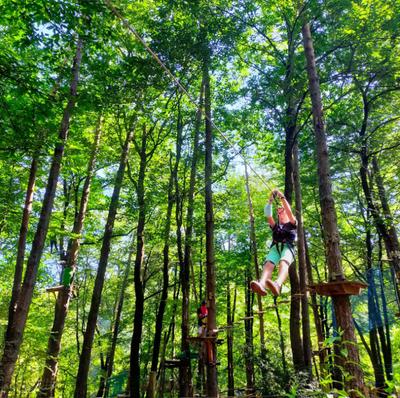 Camping le Petit Bois