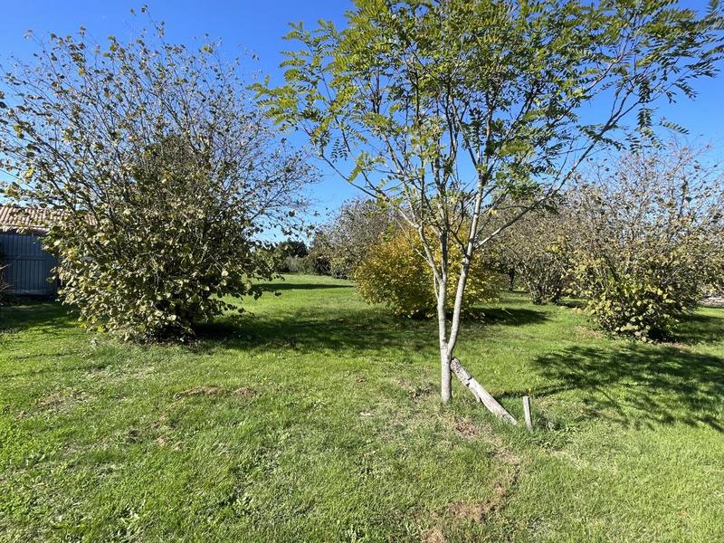 Terrain constructible - 1 160 m²