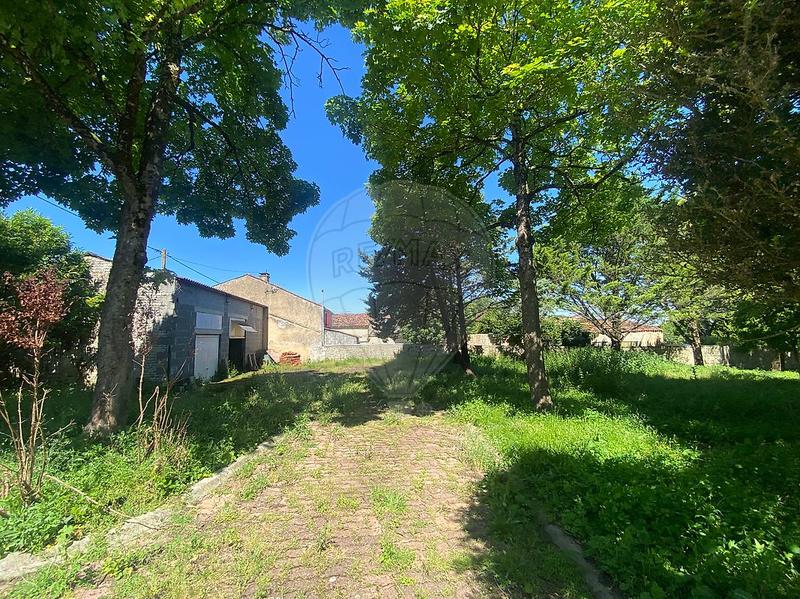 Château - 10 pièces