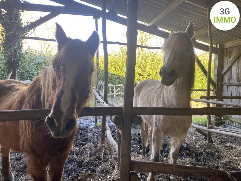 Maison - 143 m² - 5 pièces