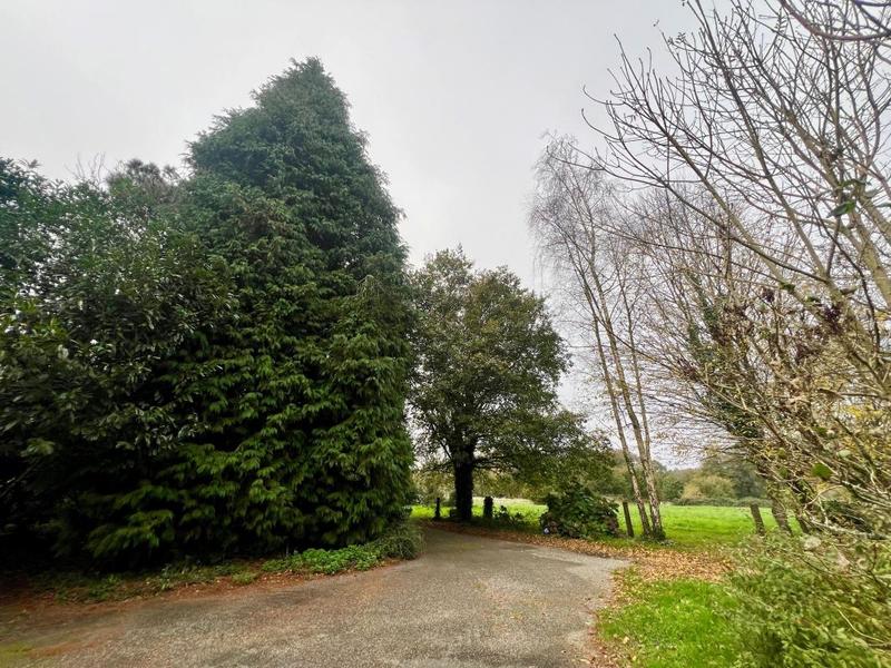 Propriété - 275 m² - 11 pièces