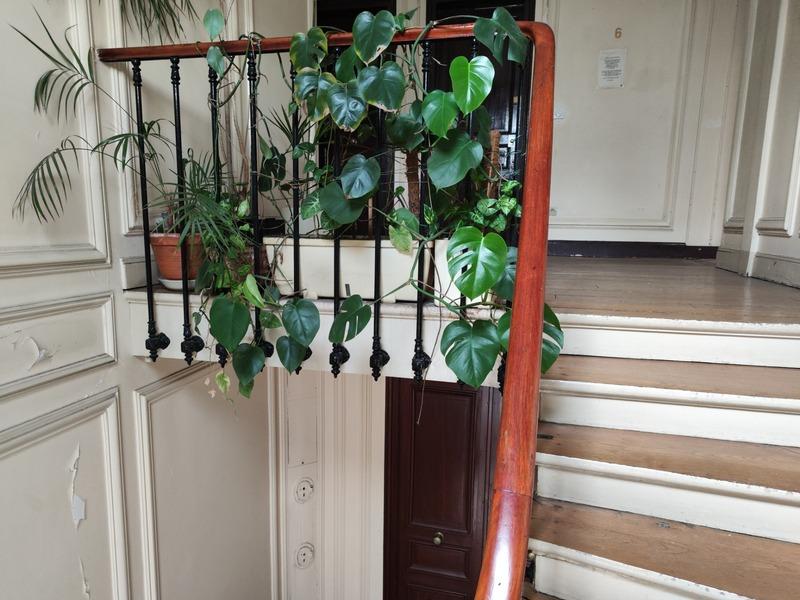 Appartement bourgeois - 8 m² - 1 pièce