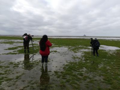 Préservons les zones humides - Sortie prés salés