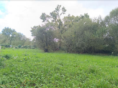 Terrain constructible - 2 889 m²