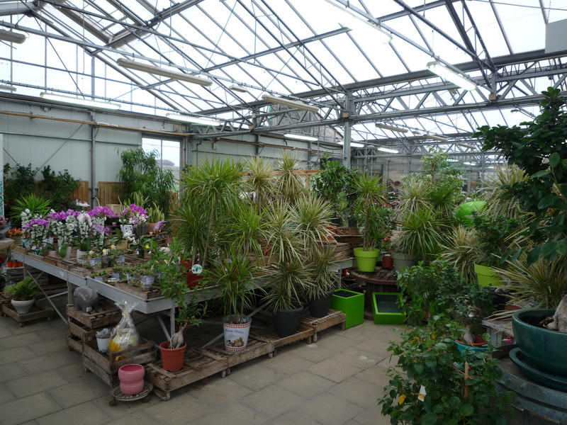 Local commercial - 1 022 m² - 7 pièces