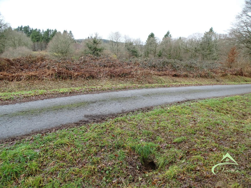 Terrain agricole - 10 541 m²