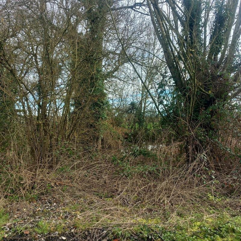 Maison - 300 m² - 4 pièces