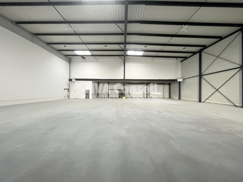 Entrepôt - 908 m²