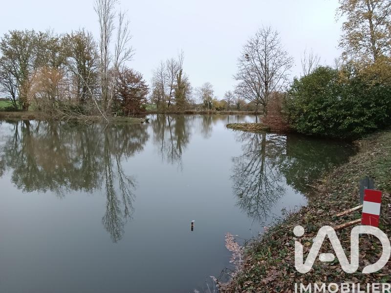 Terrain - 30 533 m²