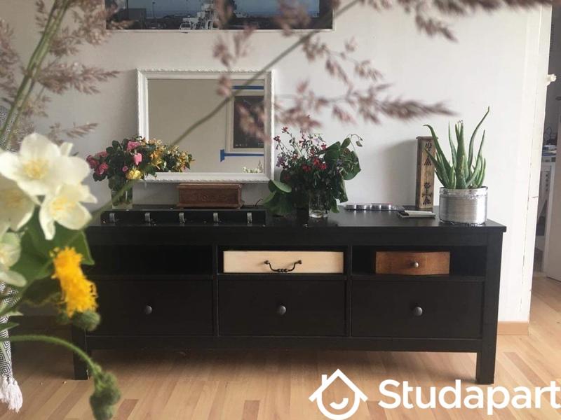 Chambre - 18 m² - 1 pièce