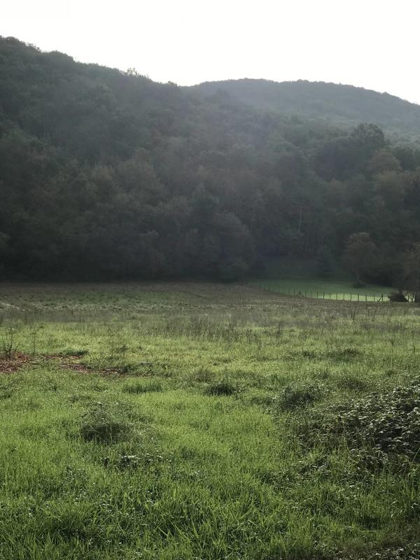 Terrain constructible - 1 197 m²