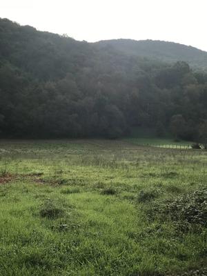 Terrain constructible - 1 197 m²