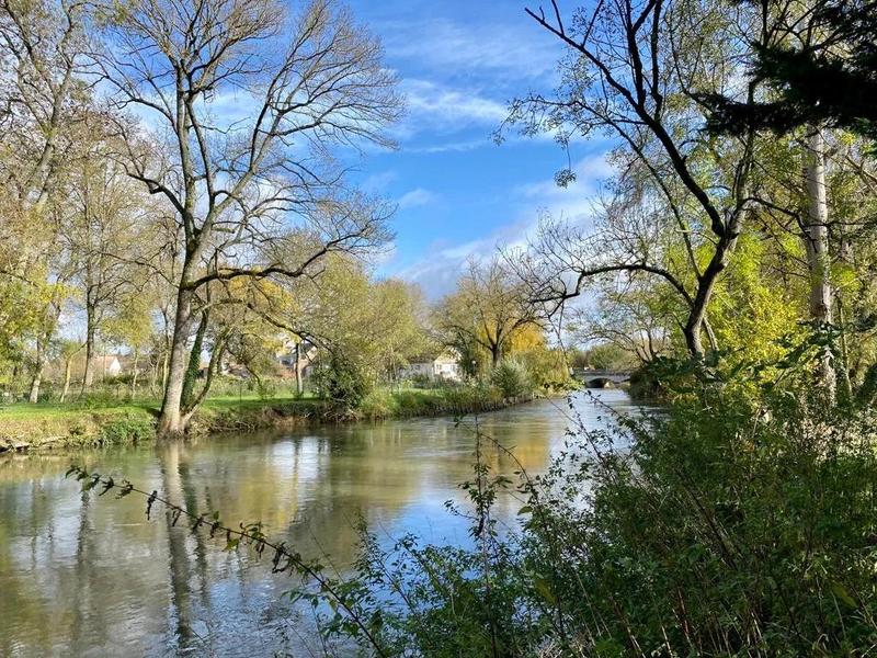 Maison - 239 m² - 8 pièces