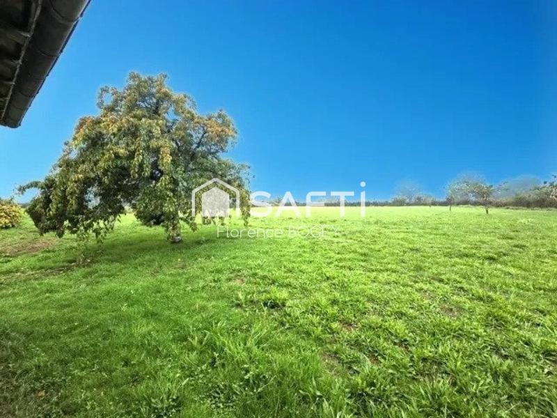 Maison - 270 m² - 8 pièces