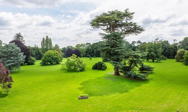 Manoir - 780 m² - 29 pièces