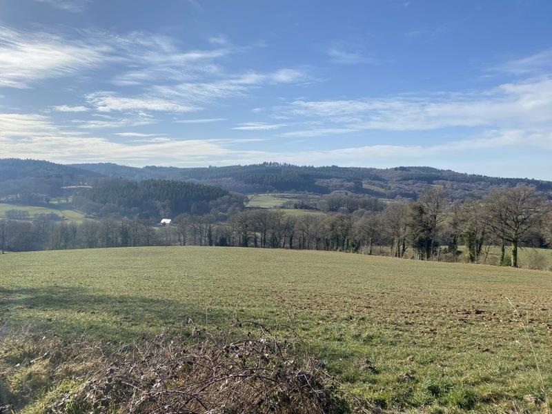Terrain agricole - 1 761 m²