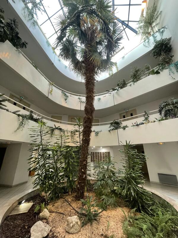 Appartement - 18 m² - 1 pièce