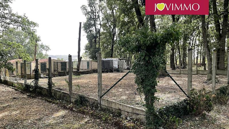 Maison - 113 m² - 6 pièces