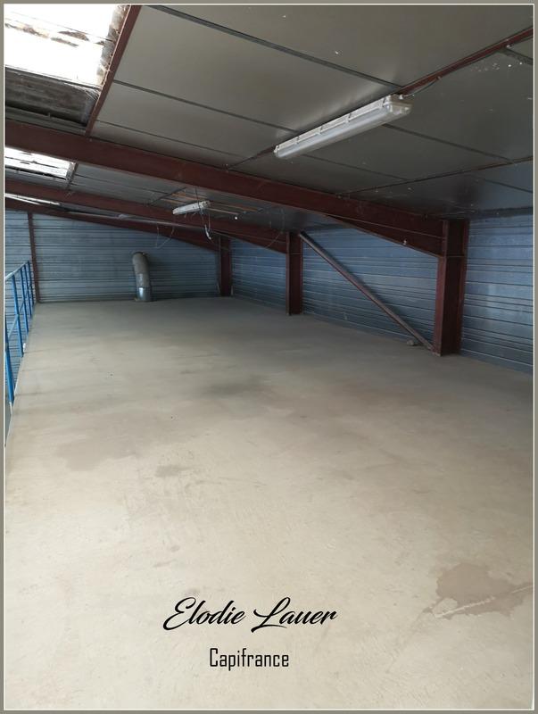 Bureau - 569 m² - 8 pièces