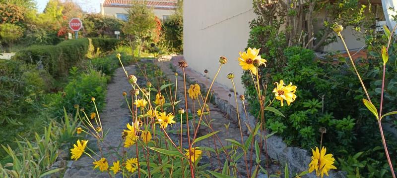 Maison - 96 m² - 6 pièces