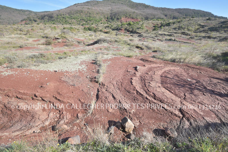 Terrain agricole - 44 350 m²