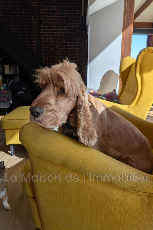 Pavillon - 210 m² - 8 pièces