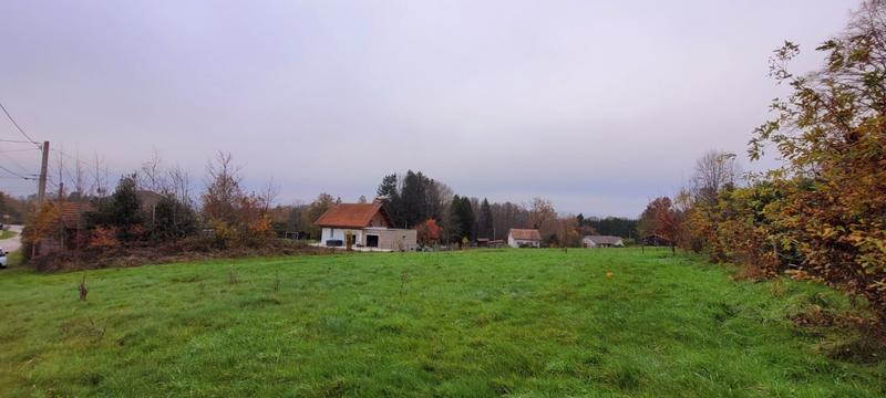 Terrain - 4 919 m²