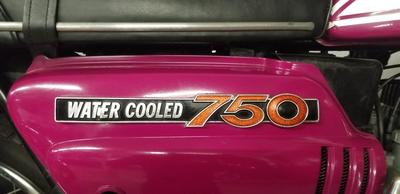 Suzuki Gt 750 suzuki violine 0750