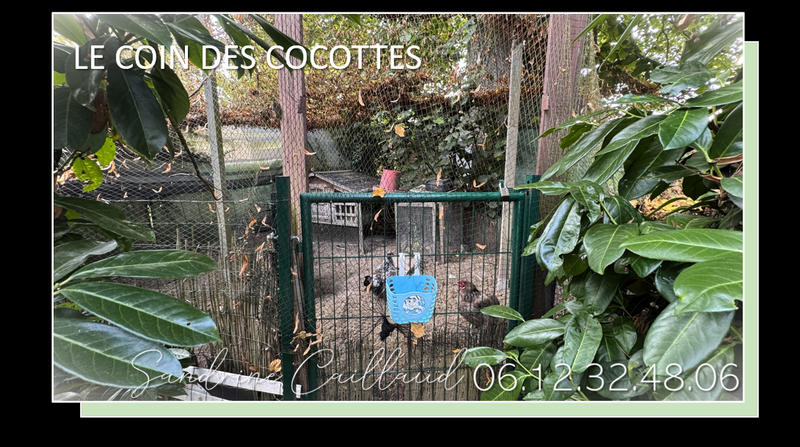 Maison - 126 m² - 6 pièces