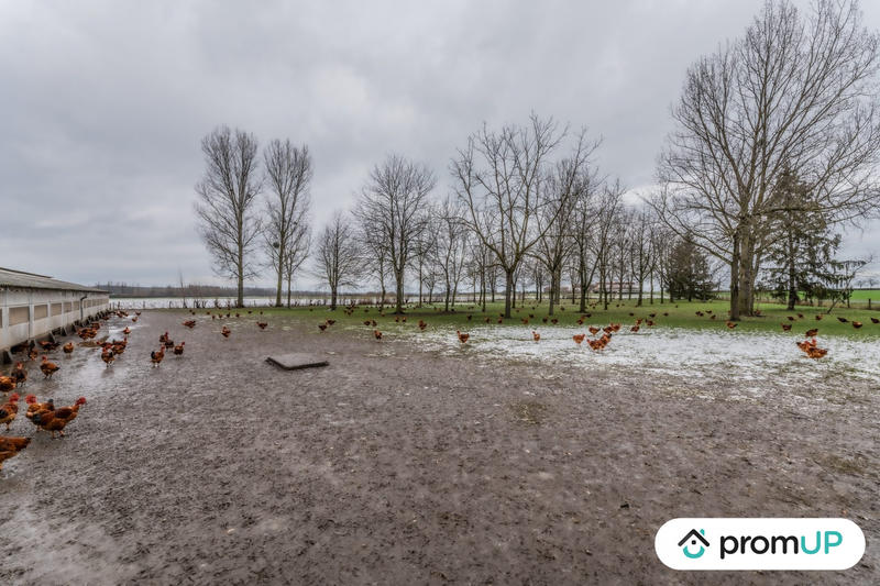 Maison ancienne - 225 m² - 8 pièces