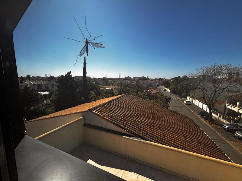 Appartement - 207 m² - 5 pièces