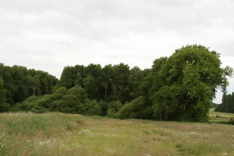 Terrain - 53 650 m²