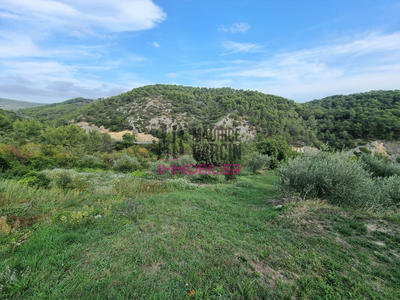 Terrain agricole - 1 786 m²