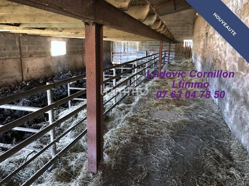 Corps de ferme - 134 m² - 8 pièces