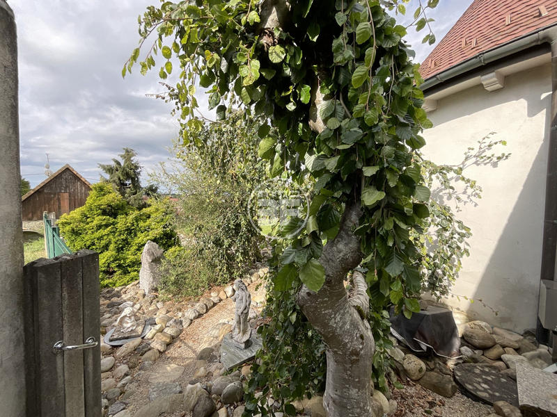 Maison - 195 m² - 7 pièces