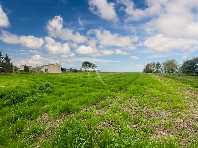 Terrain - 11 886 m²