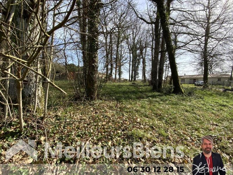 Terrain constructible - 2 100 m²