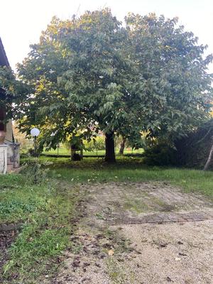 Maison ancienne - 88 m² - 4 pièces