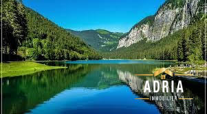 Appartement - 54 m² - 2 pièces