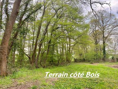 Maison - 156 m² - 6 pièces