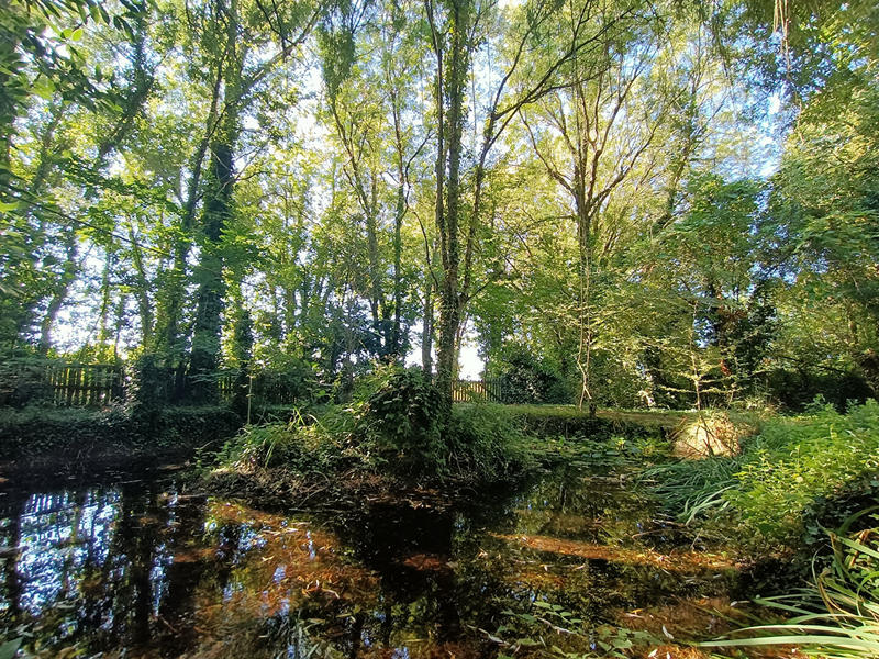 Maison - 188 m² - 6 pièces