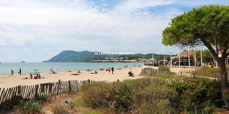 Viager - Maison traditionnelle - 60 m² - 3 pièces