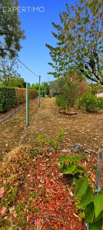 Viager - Maison - 80 m² - 6 pièces