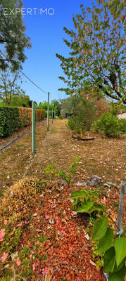 Viager - Maison - 80 m² - 6 pièces