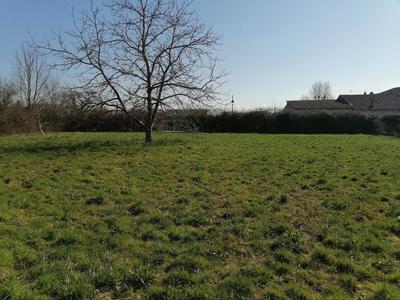 Terrain - 920 m²