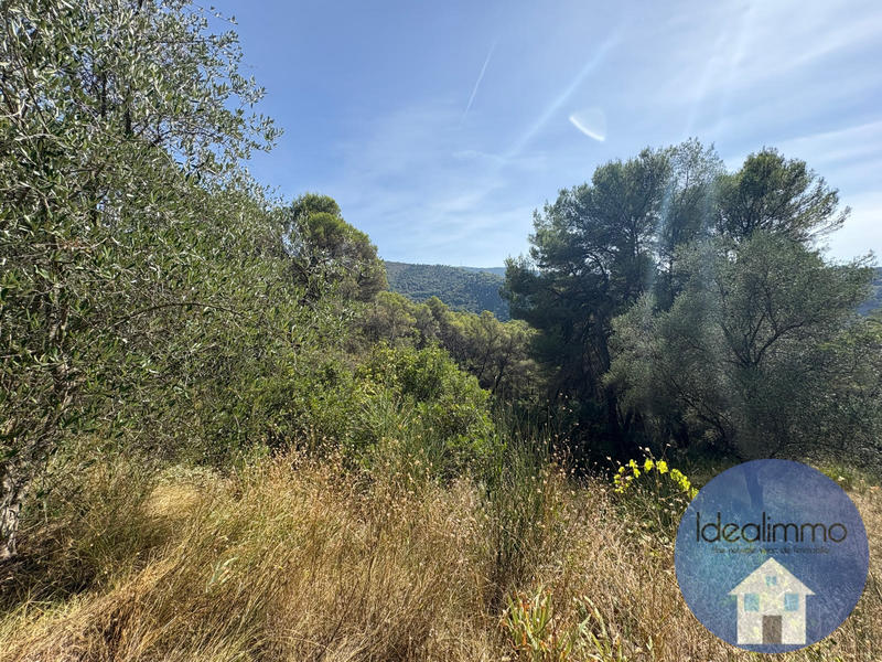 Terrain de loisirs - 20 000 m²