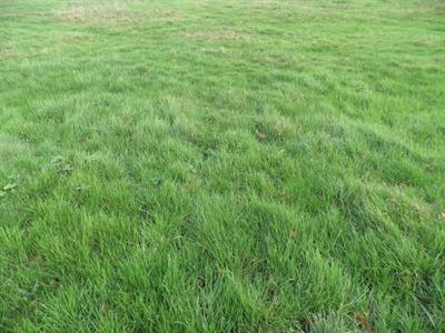 Terrain constructible - 312 m²