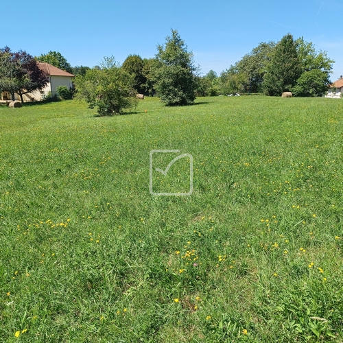 Terrain - 1 331 m²